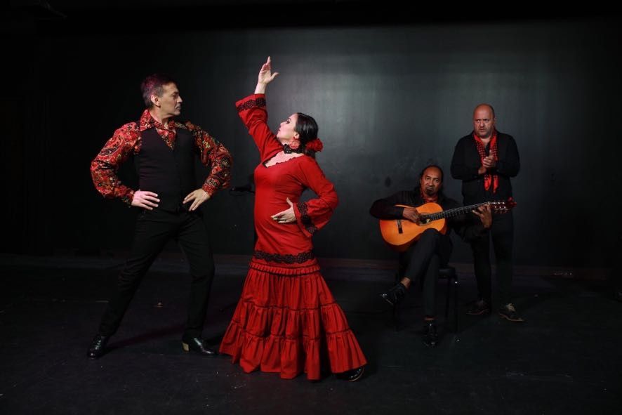 Flamenco Fever & Torres Wines in East Dallas 