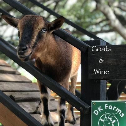 Goats & Wine  