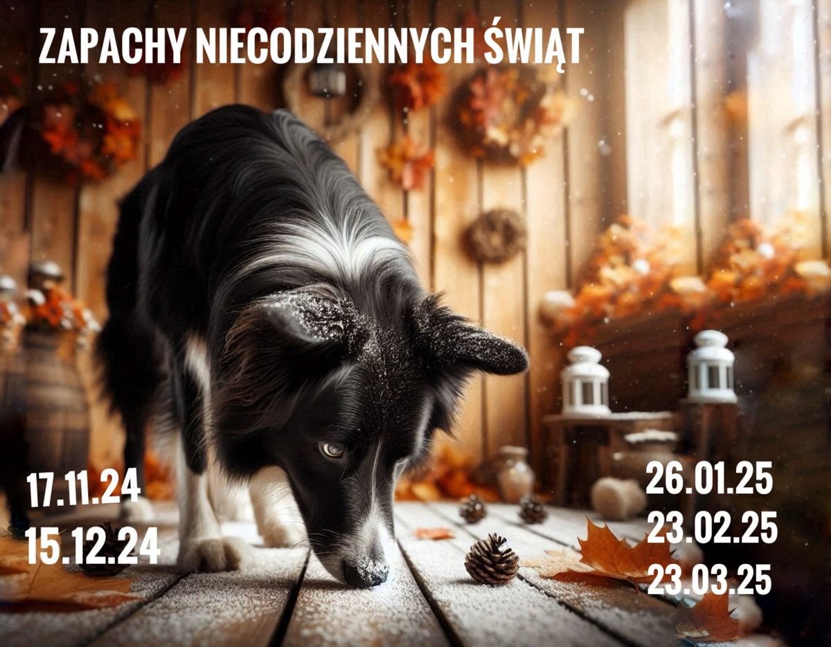 Zapachy niecodziennych \u015bwi\u0105t- Koszali\u0144ski cykl treningowych zawod\u00f3w Nosework 