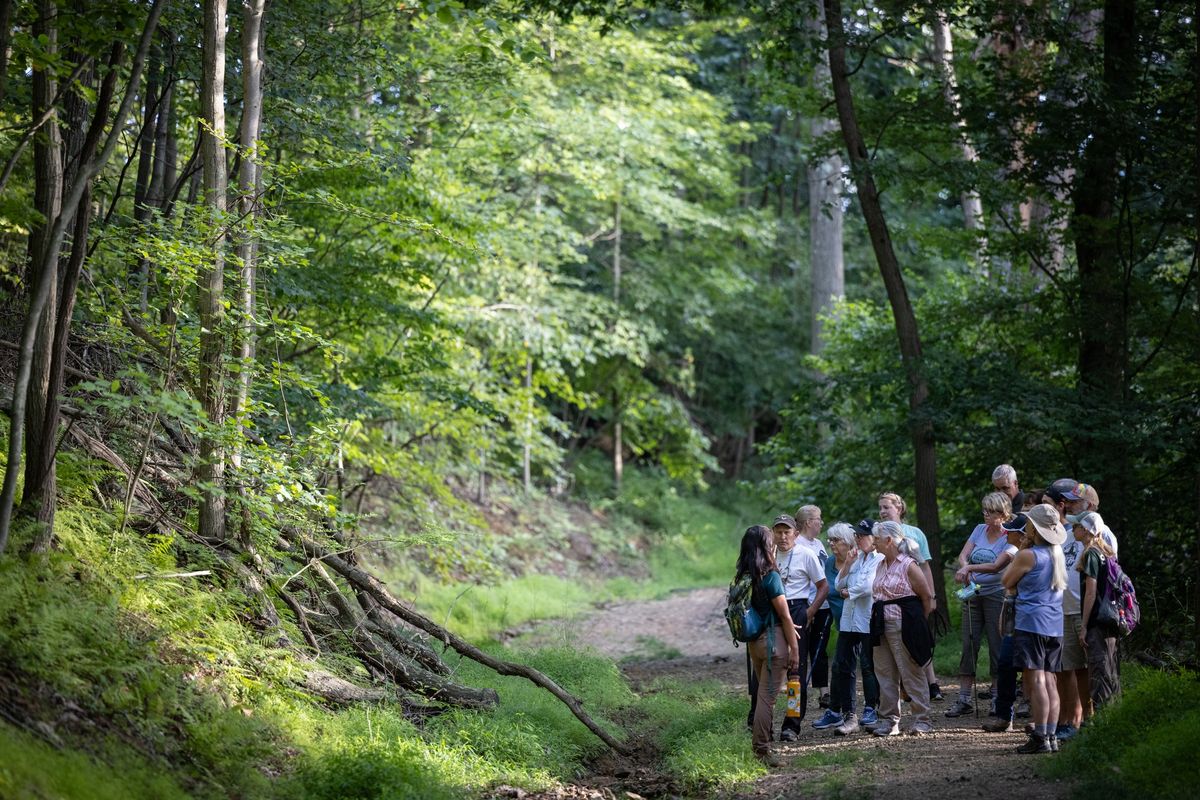 Thursday Adult Nature Walk