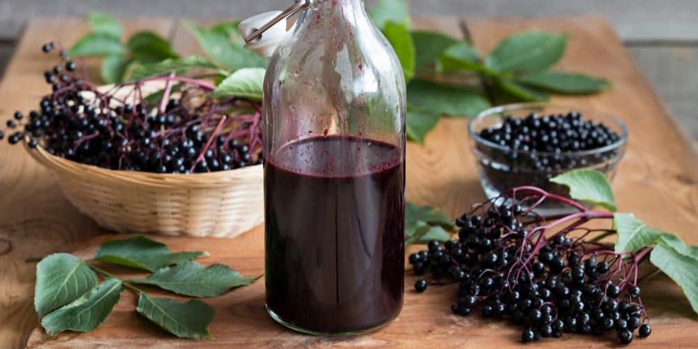 Winter Wellness: Elderberry Syrup & Cold Care Tea Blending