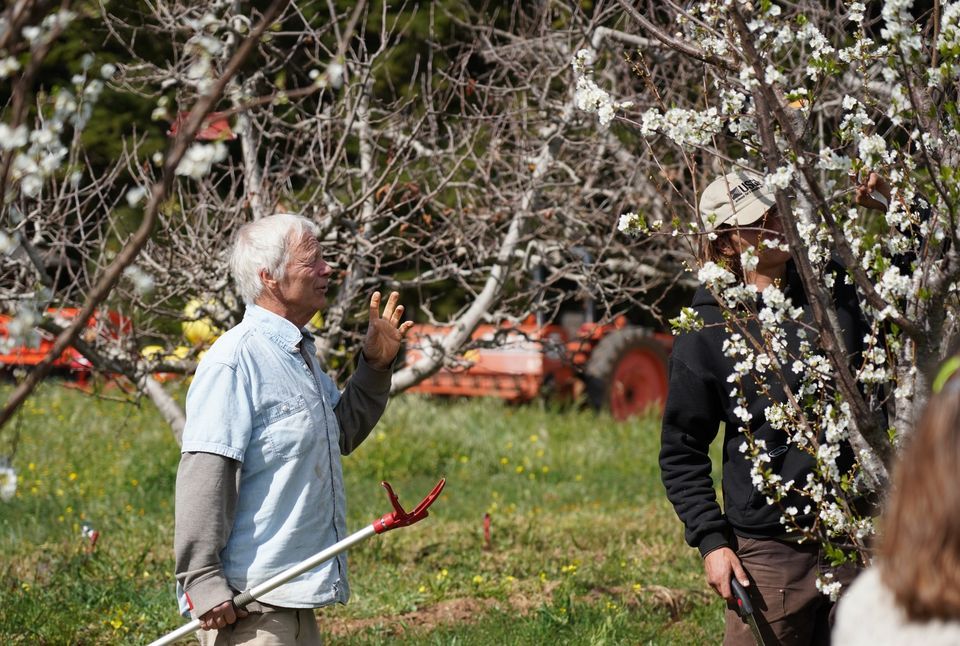 Getting Started with Fruit Trees, Chadwick Garden, Santa Cruz, 28 ...