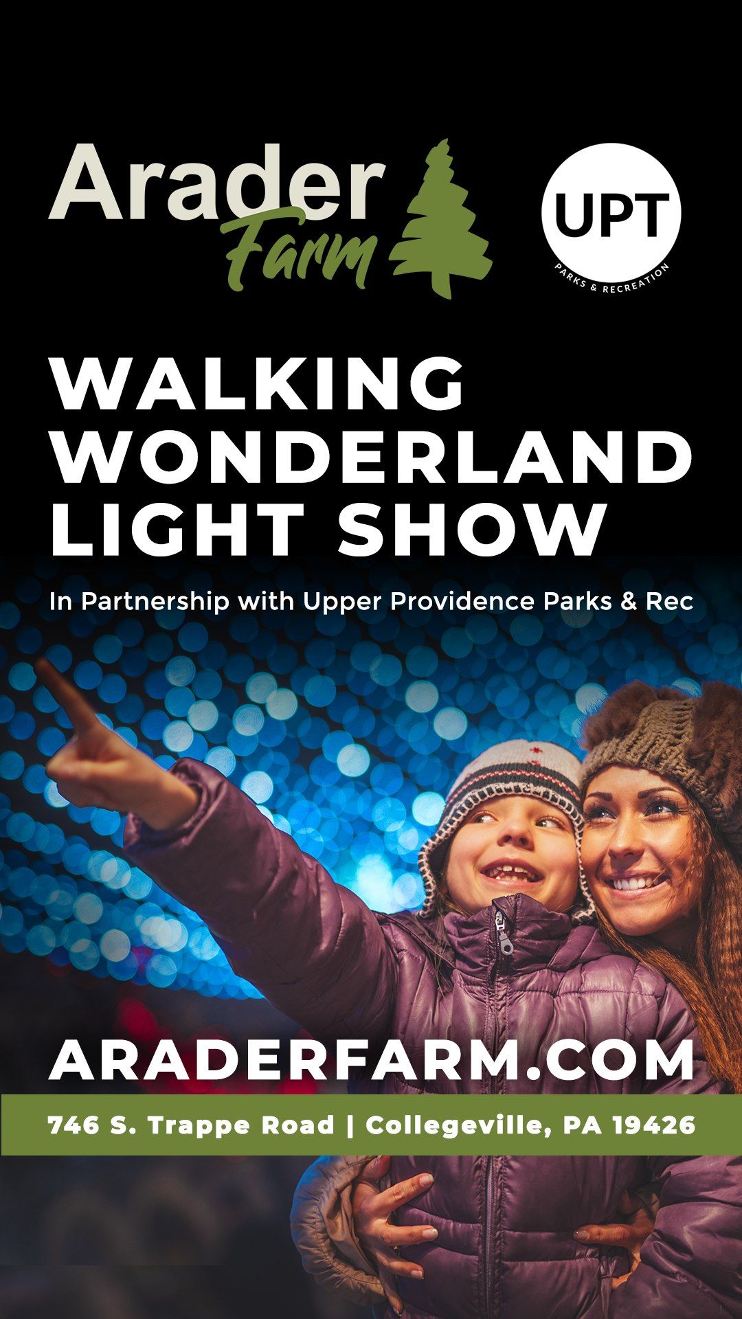 Walking Wonderland Light Show