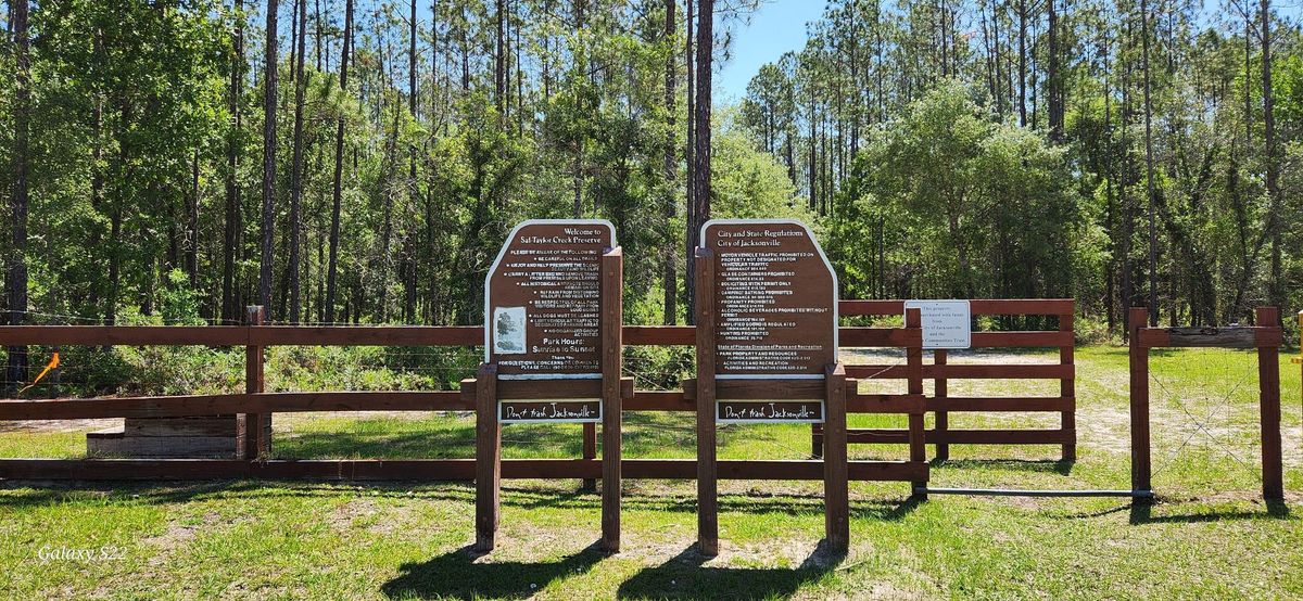 Sal Taylor Creek Preserve Trail Walk