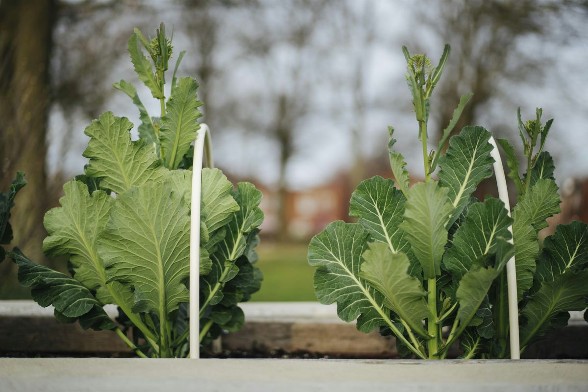 Growing Community: Indoor Winter Garden