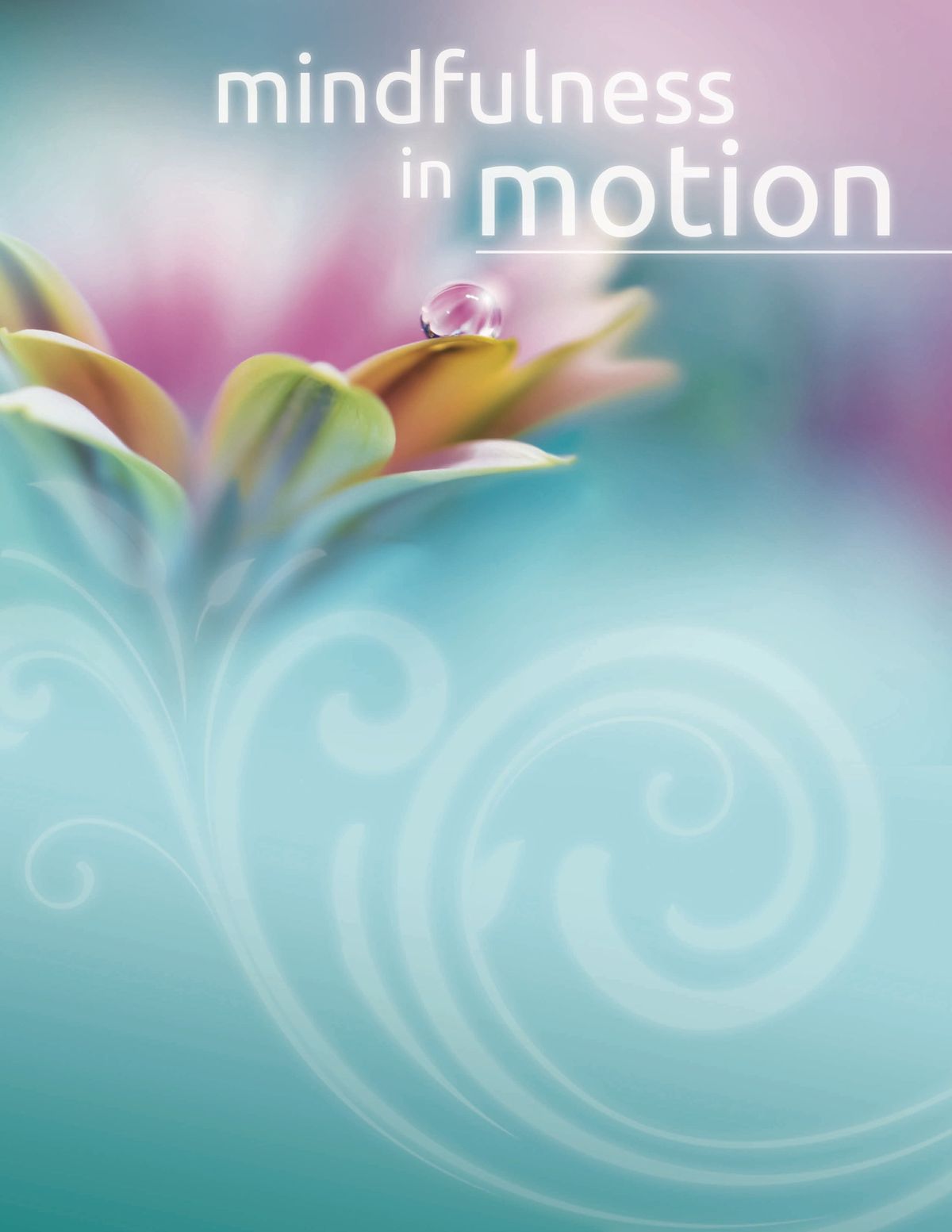 Minfulness in Motion Workshop