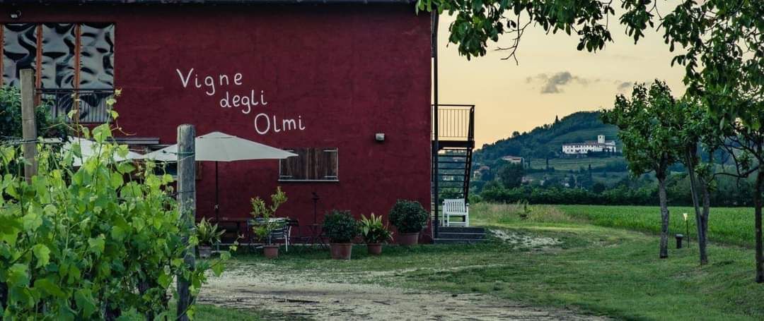 Milonga a Vigne degli Olmi