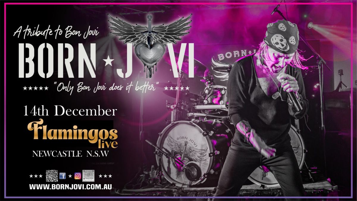 BORN JOVI Rocks FLAMINGOS Live in Newcastle