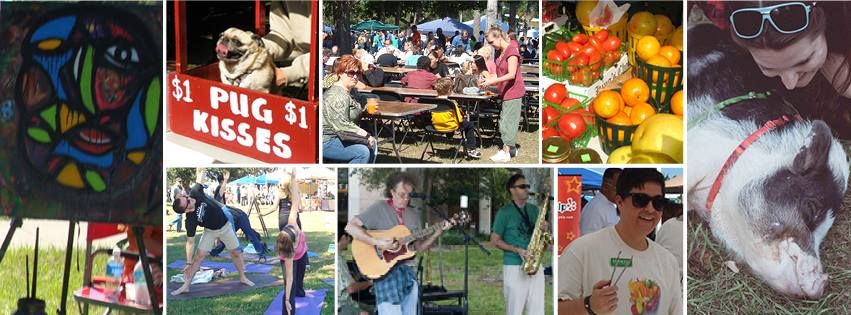 Central Florida Veg Fest 2024!