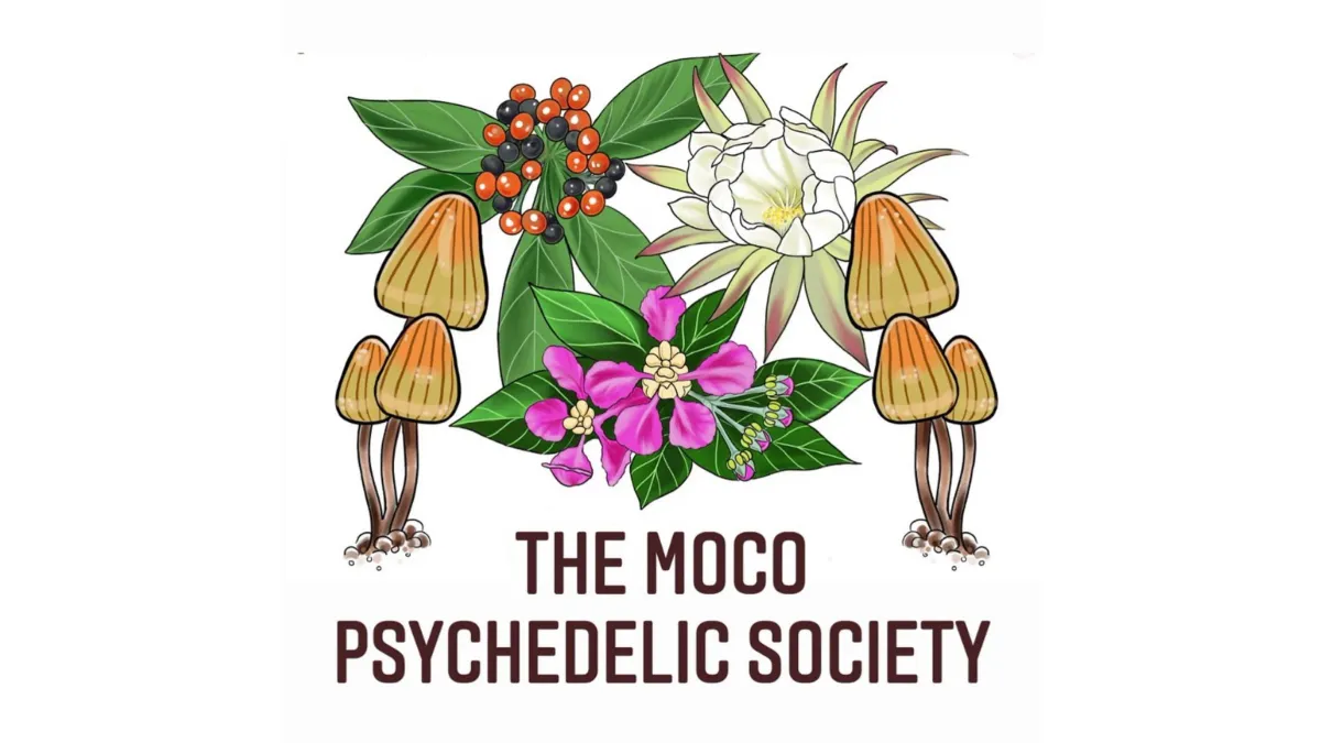 In-Person Psychedelic Peer Support Integration Circle