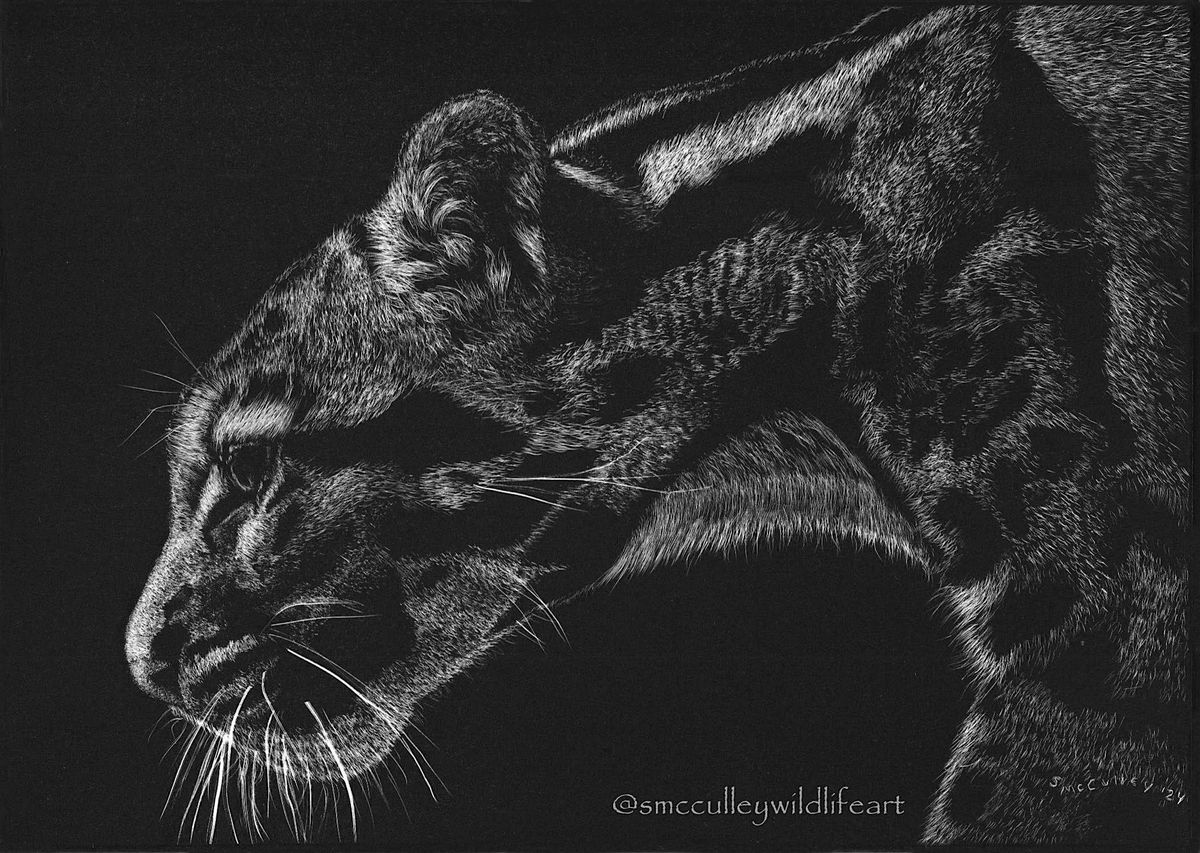 Introduction to Scratchboard with Susan McCulley (Adult-Drawing)