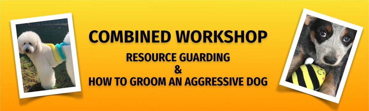 Resource Guarding & Grooming an Aggressive dog workshop