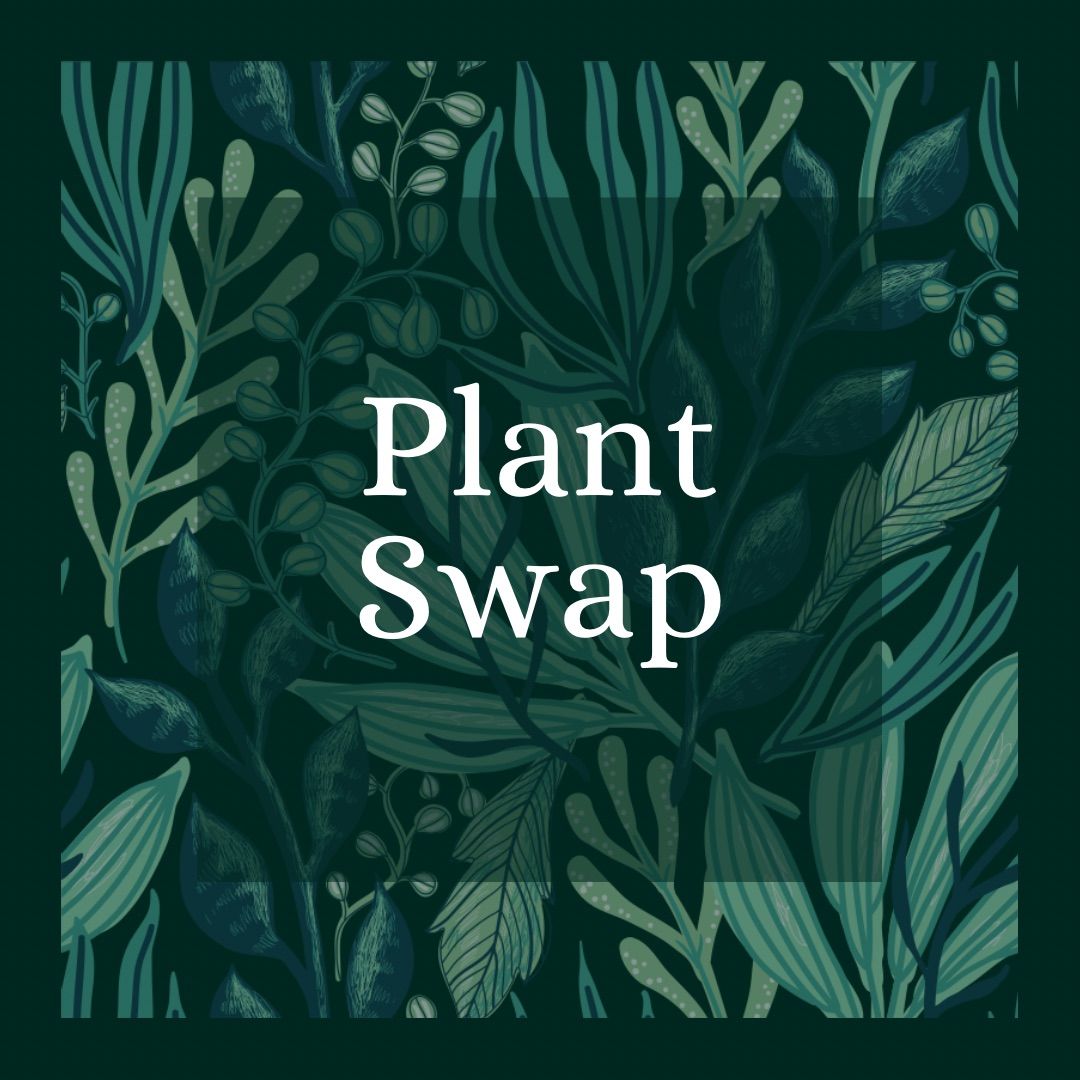 Plant Swap Night \ud83c\udf31