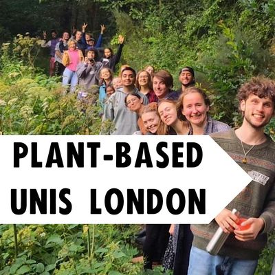 Plant-Based Universities London