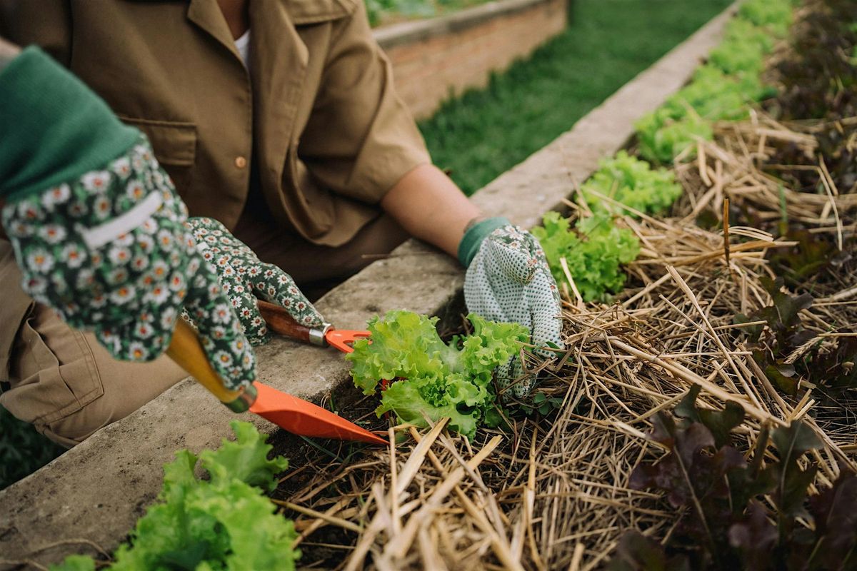 Co-op Garden Volunteer