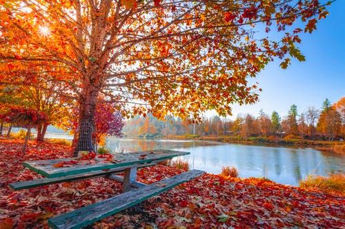 Fall Fling Northfield Park Pavillion A Hurst 2 October 21
