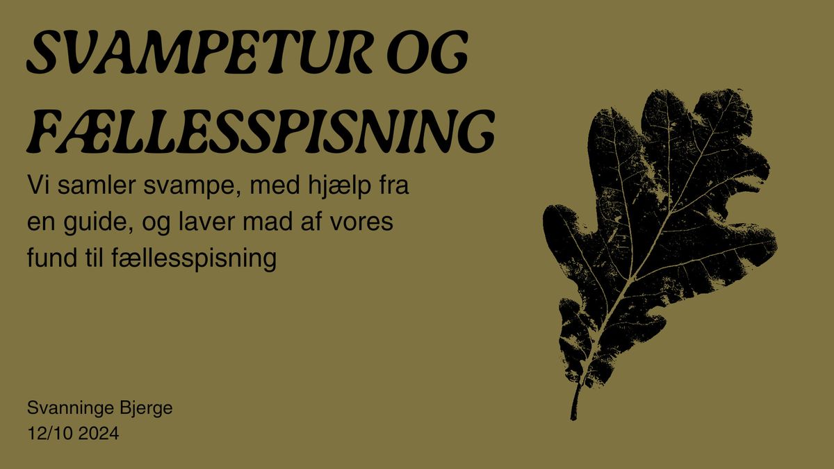 Svampetur