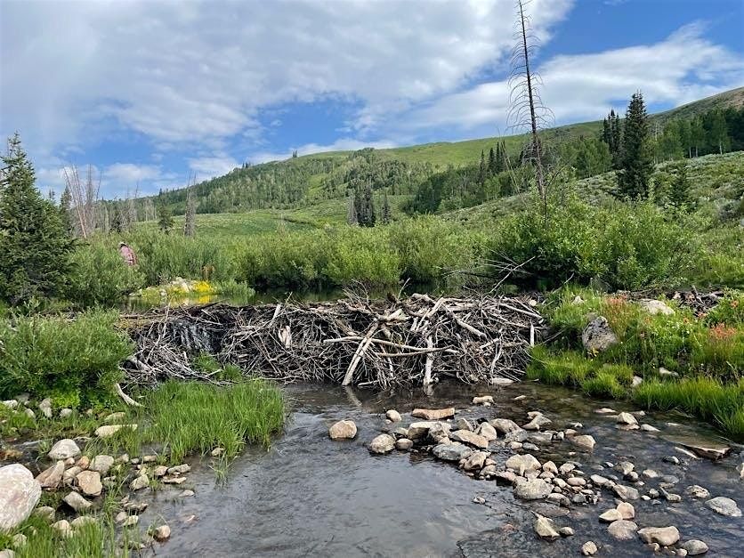 3-Day Camping: Currant Creek (ride with Zoo)