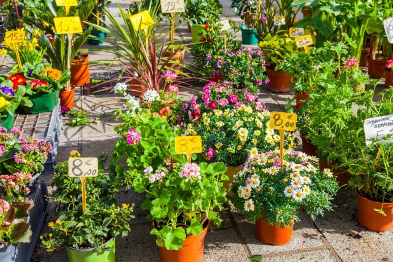 29th Annual RW Garden Club Plant Sale