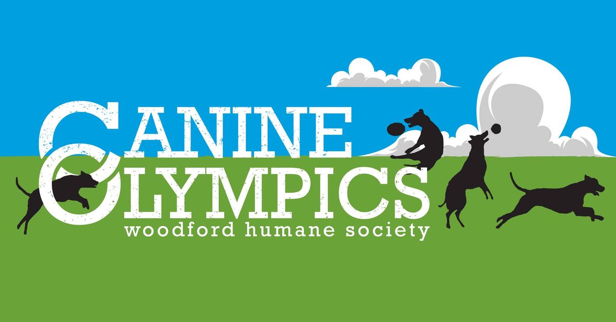 Canine Olympics