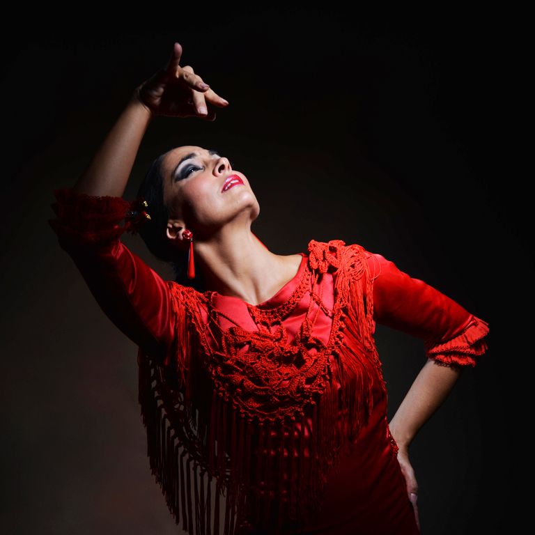 Teatro Flamenco: espect\u00e1culo Emociones