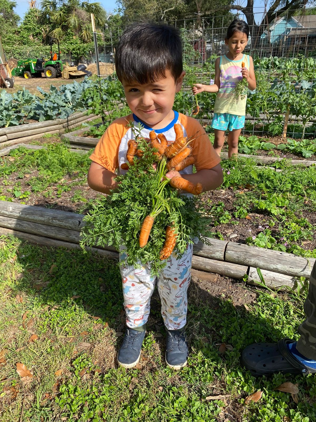 Open House at the Farm