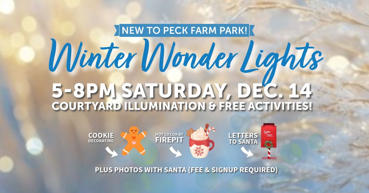 Winter Wonder Lights Kickoff Celebration