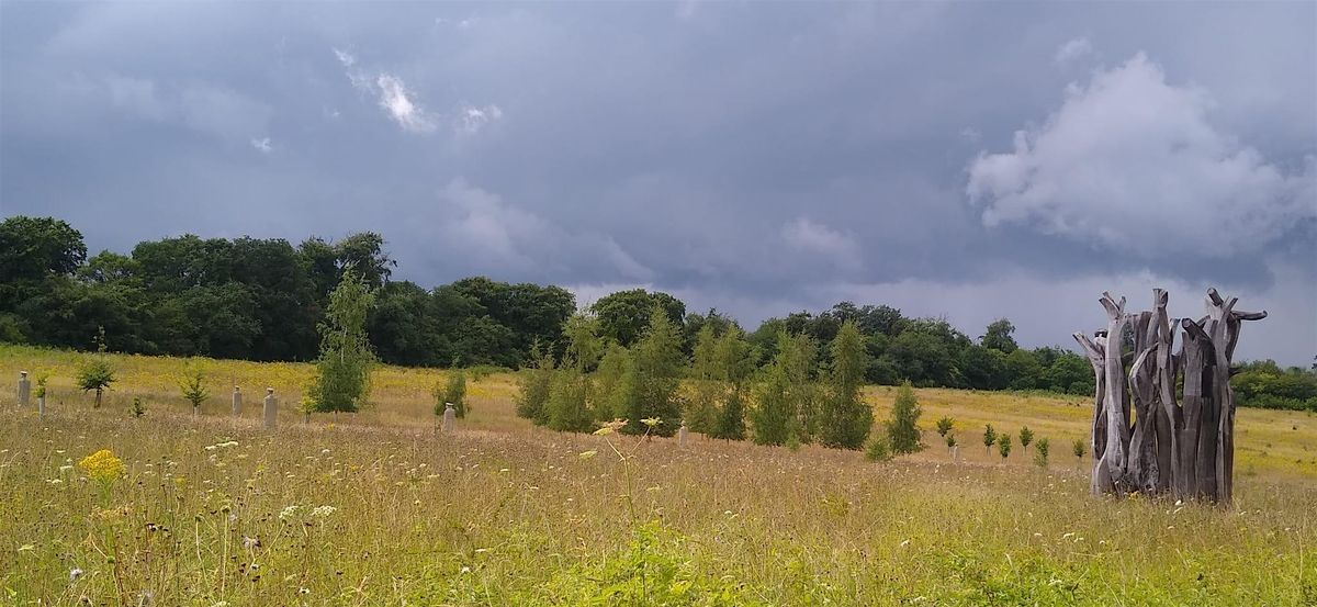 An Introduction to Langley Vale Wood - guided walk