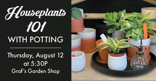 House Plants 101 with potting