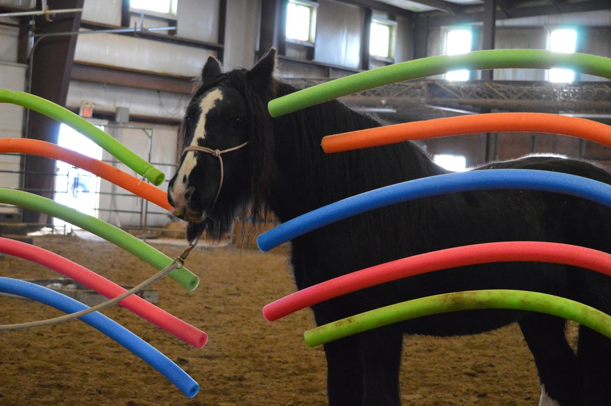 Sweethearts Fun night and Obstacle Clinic