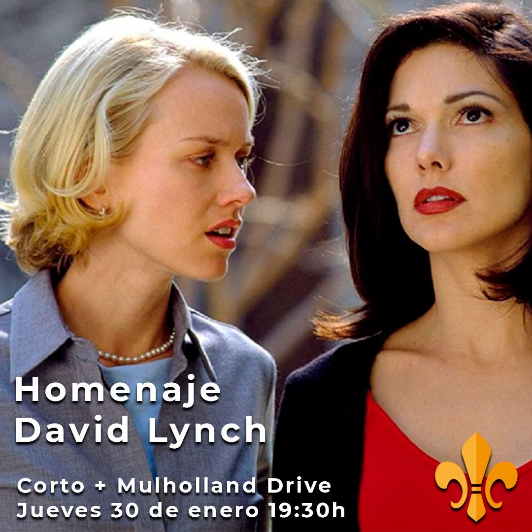 Homenaje David Lynch: Mulholland Drive