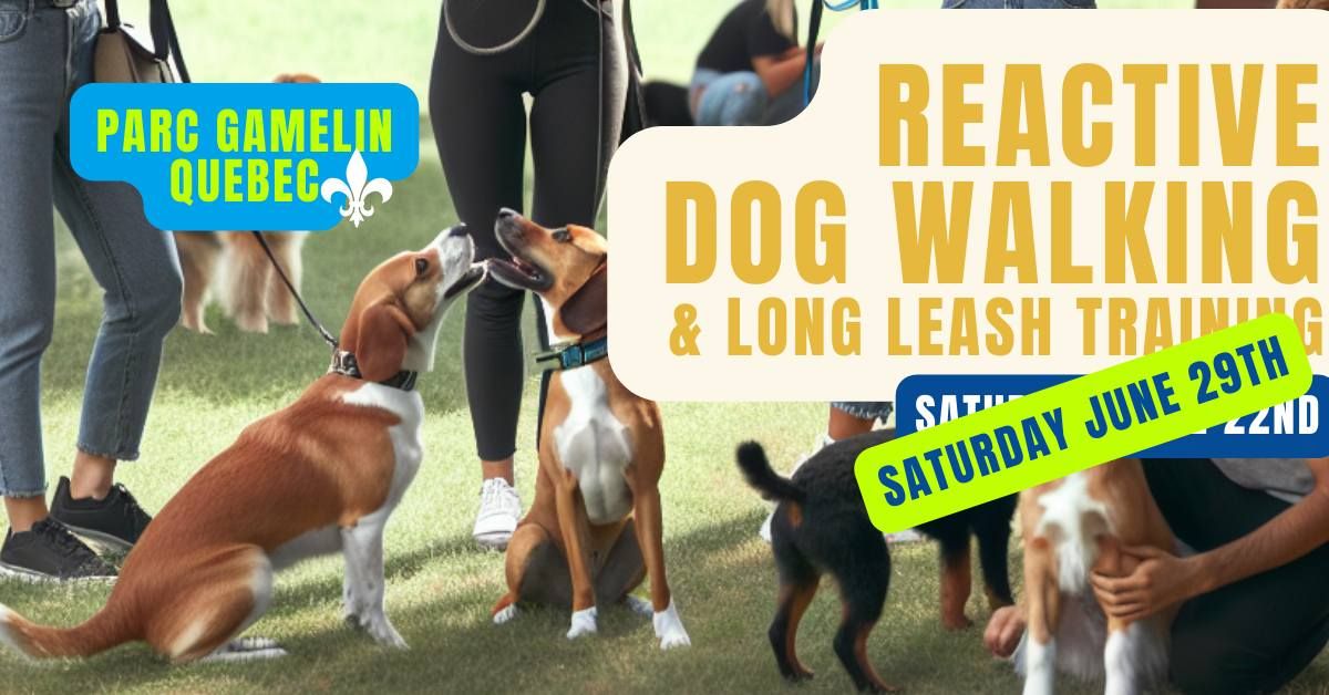 Better Dog - Reactive Dog Training & Long Leash Walking - Parc Gamelin - Gatineau