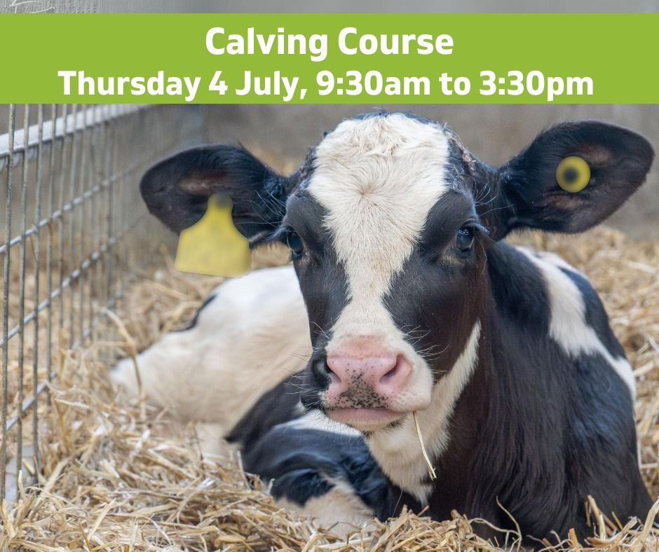 Calving Course