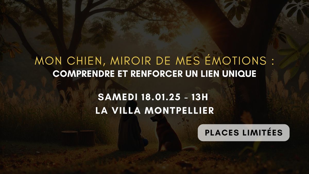 Mon chien, miroir de mes \u00e9motions : Comprendre et renforcer un lien unique