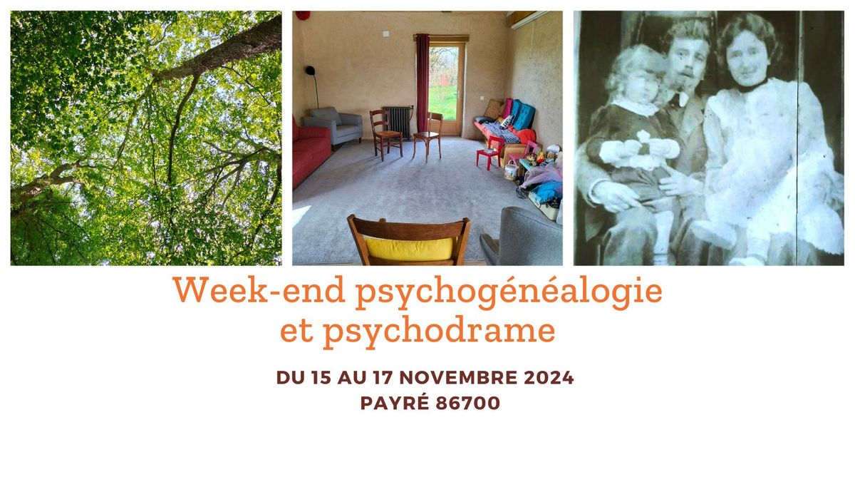 Week-end psychog\u00e9n\u00e9alogie et psychodrame