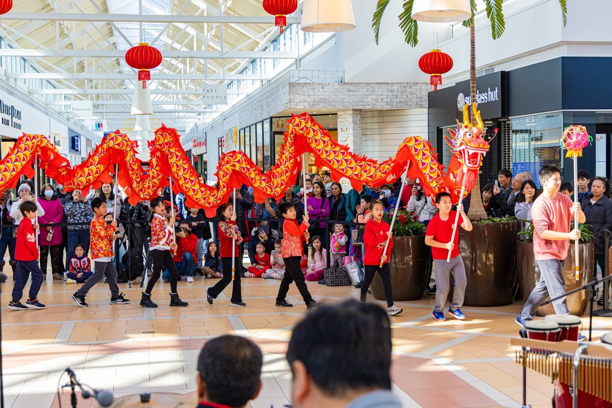 Chinese New Year Celebration