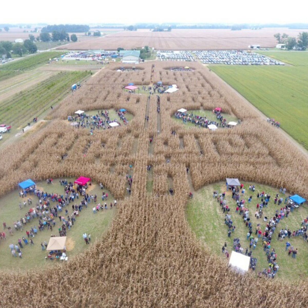 Corn Maze Beer Fest at 450 North Brewing Company