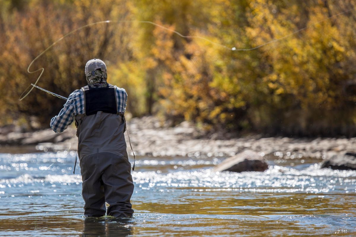 Fly Fishing 101 (Intro to Fly Fishing)