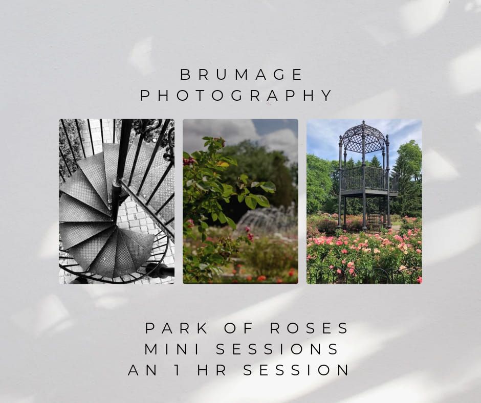 Brumage Photography's 'Park of Roses' Minis