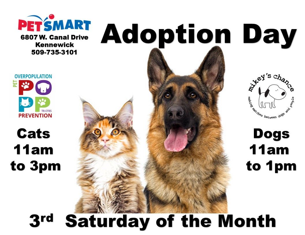 PetSmart Adoptions Dogs Mikey's Chance Cats P.O.P.P.