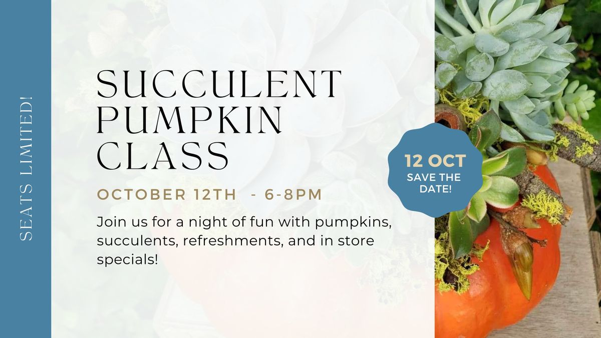 Succulent Pumpkin Class - 10\/12\/24