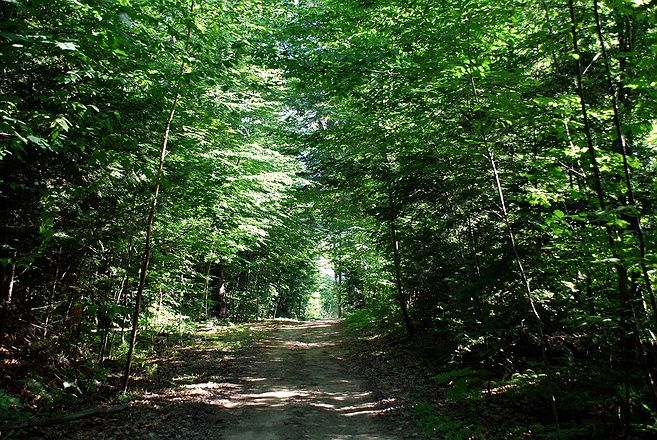 Hidden Pond Hike (3-4 Miles)