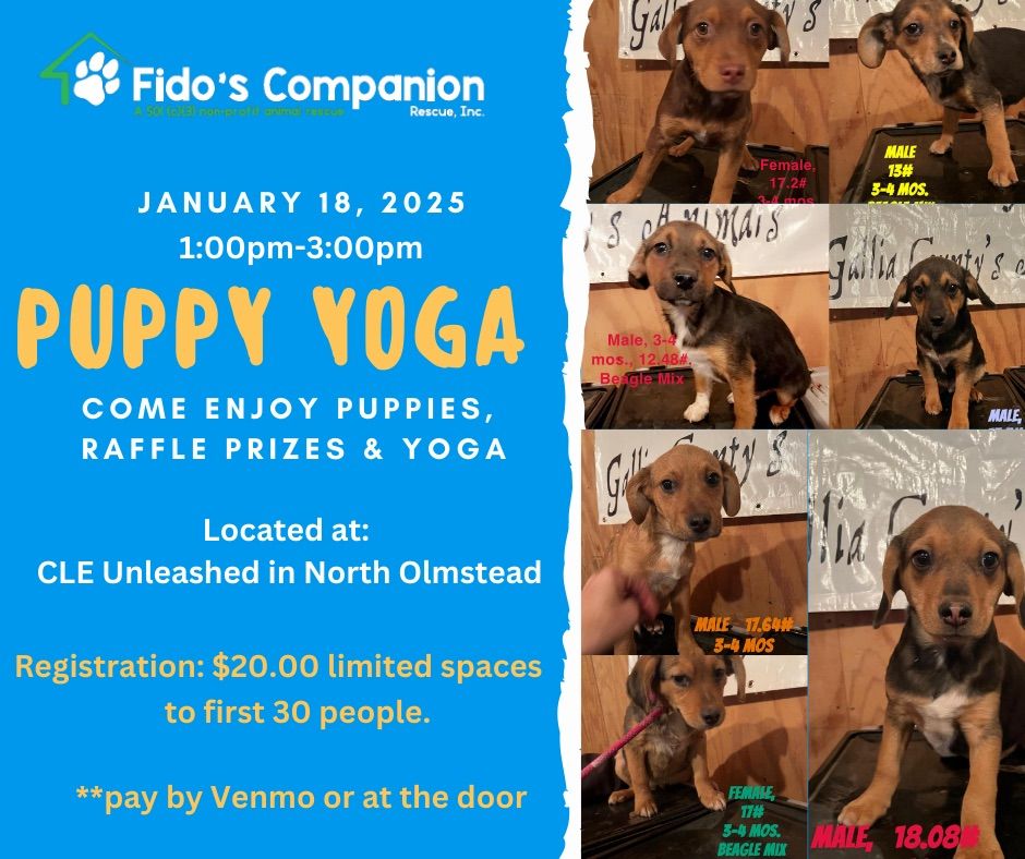 Puppy Yoga Event