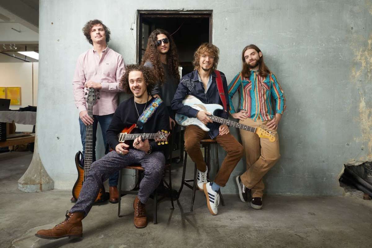 Parking Dogs In A Pile (18+)