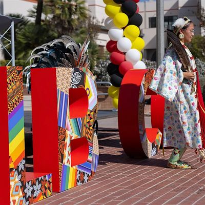 Native American Indigenous Collaborative (NAIC)