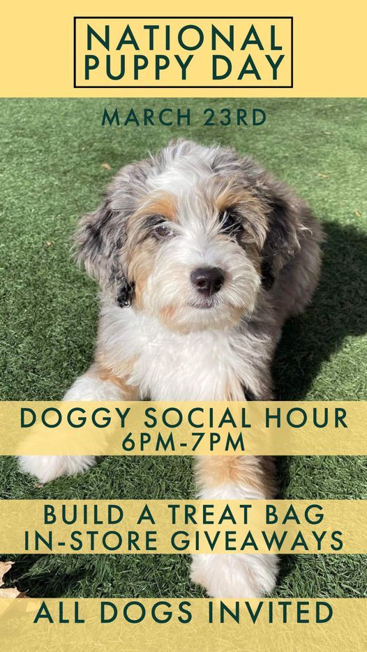 National Puppy Day- Social Hour