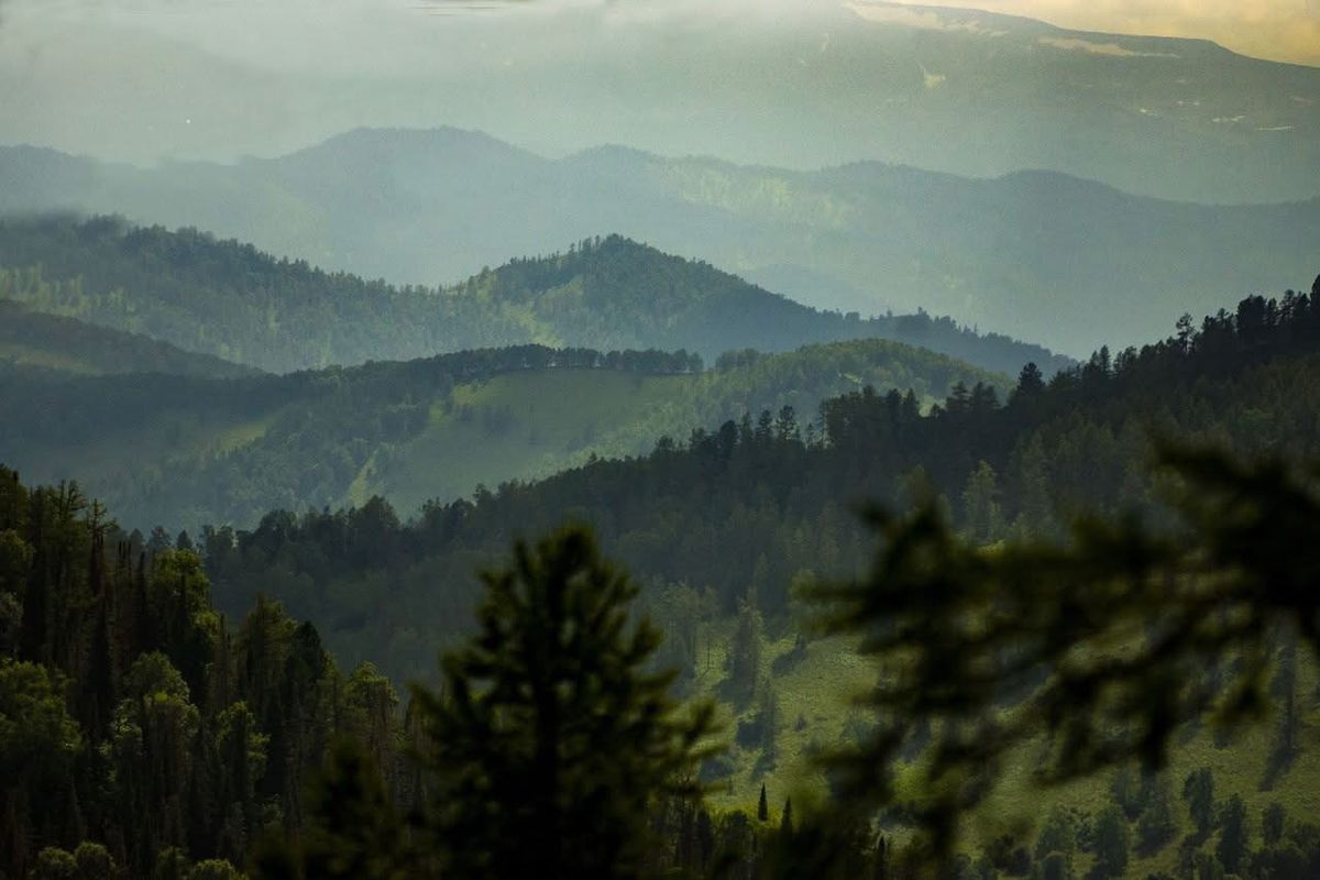 An Introduction to Acrylic Painting Workshop, Rolling Mountains