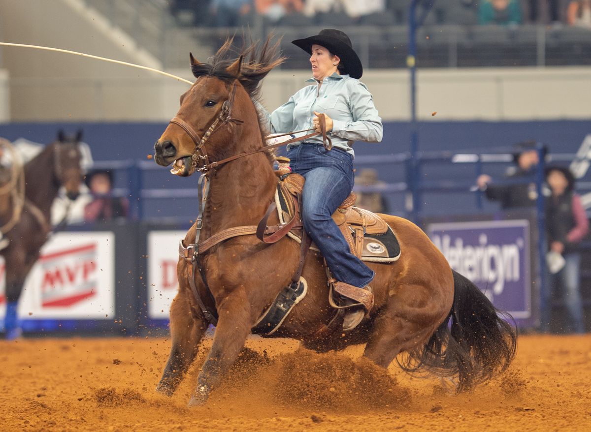 The American Rodeo (Rodeo)