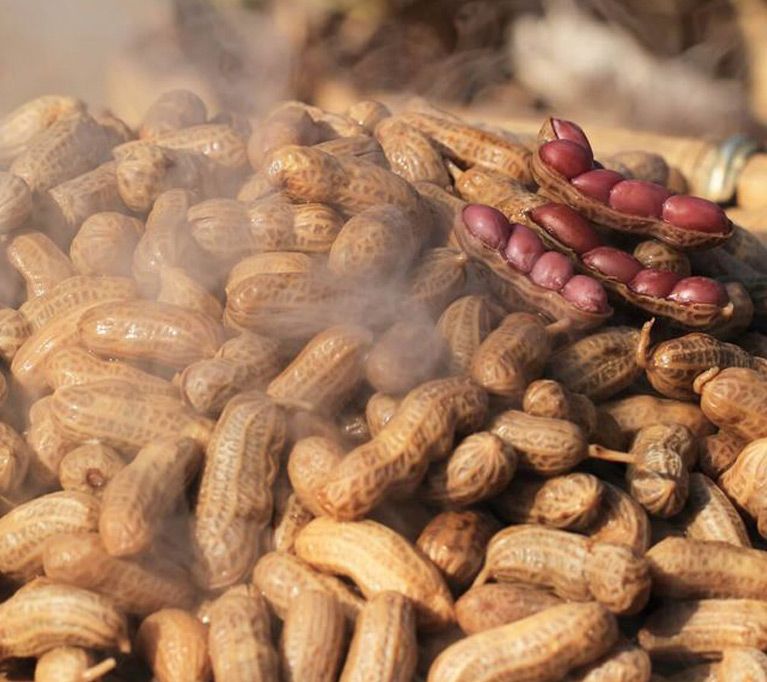 The Murrells Inlet Boiled Peanut World Championship (Nut Off)