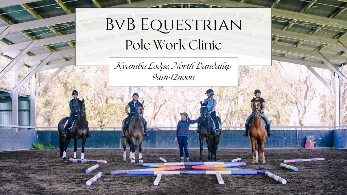 Pole Work Clinic